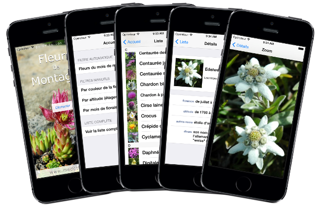 Fleurs de Montagne - le petit guide de vos randonnées sur iPhone (aussi iOS7), iPad et Android - identifiez les fleurs que vous croisez durant vos ballades et randonnées en montagne, dans les Alpes, en forêt, dans les Pyrénées